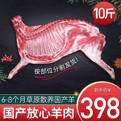 ţѡֻ10ְŸɹ䶳81.2Ԫ