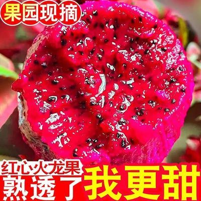 正宗产地金都一号红心火龙果现摘超甜应季水果红肉火龙果整箱批发