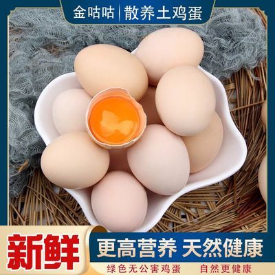 正宗土鸡蛋农家散养新鲜鸡蛋粉壳柴鸡蛋无孕妇儿童营养批发一整箱