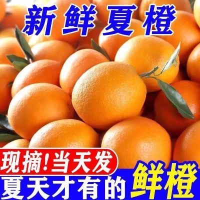 2025年新鲜现摘夏橙广西桂林高山橙子水果酸甜多汁7分甜3分