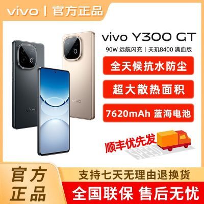 vivo Y300 GT 5Gֻ  8400Ѫ 7620mAh1512Ԫ
