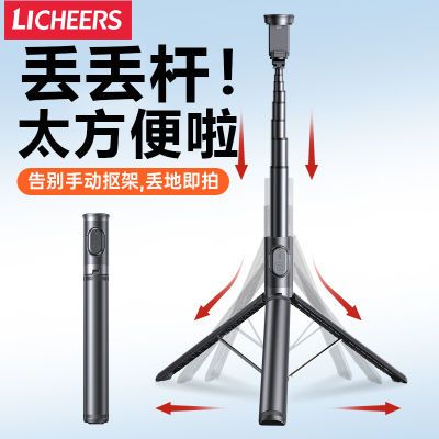 ڲLICHEERSֻĸ2025¿ֱЯʽż83Ԫ