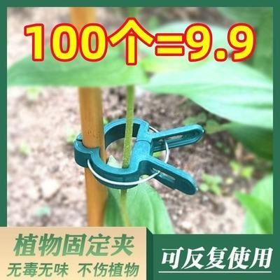 植物夹园林夹子番茄黄瓜西红柿花卉爬藤夹塑料园艺枝条支撑工具夹