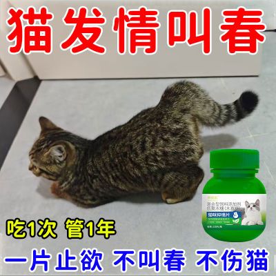 【不伤猫】猫咪抑情母猫公母猫通用款不嚎叫不乱尿营养猫必备品