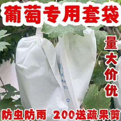 露天葡萄袋专用套袋葡萄防雨袋子育果袋枇杷莲雾水果防虫袋子