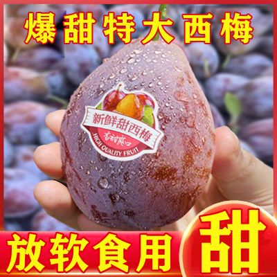 【酸甜大西梅】现摘大西梅鲜果正宗西梅5斤法兰西甜西梅女神李子【30天内发货】
