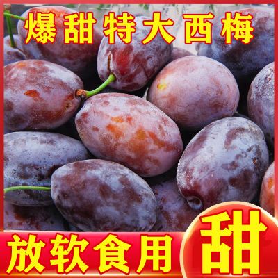 【爆甜大西梅】现摘大西梅鲜果正宗西梅5斤法兰西甜西梅女神李子