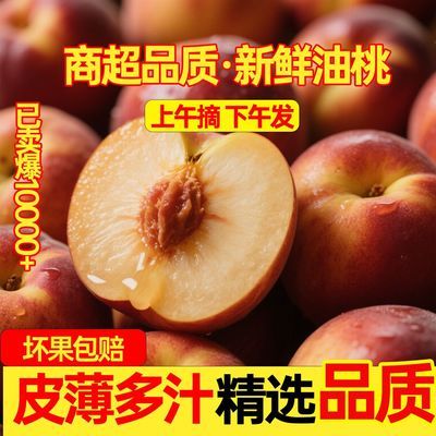 【爆甜】新鲜油桃桃子应季水果脆甜多汁蜜桃孕妇水果大油桃整箱