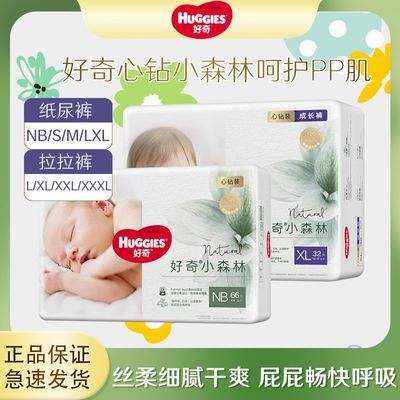 好奇心钻装小森林纸尿裤男女宝宝拉拉裤NB-XXXL尿不湿