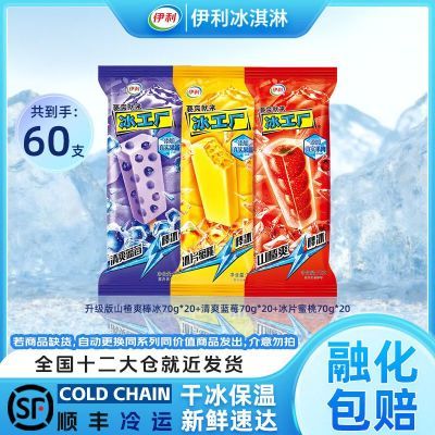【60支】 伊利冰淇淋冰工厂蓝莓棒冰蜜桃棒冰山楂棒冰家庭组合