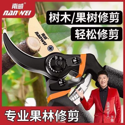 ڲ֦֦ʡռ԰԰޻֦Ӽ5.9Ԫ