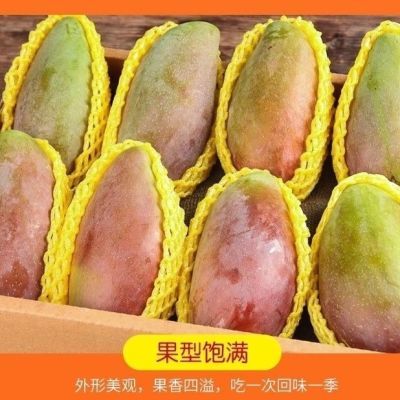 广西田东红贵妃芒颜值天然种植 生态健康好滋味新鲜直发