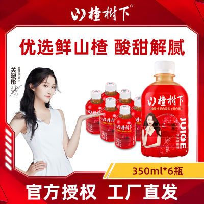 ڲڷɽɽ髹֭()350ml*6Сƿװ 21.9Ԫ