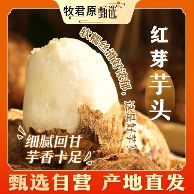 ڲв䡿𻪺ѿͷںܵճŴ߲23.65Ԫ