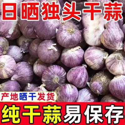 《独头蒜干蒜》十足干紫皮独头大蒜独子蒜单瓣蒜红皮独蒜辅料批发