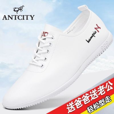 ڲϳļʱƤЬЬ͸СЬЬ29.9Ԫ