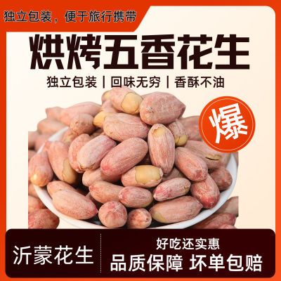 沂蒙五香烤花生米脱油酒鬼花生盐焗香酥蒜香奶香下酒菜独立包装