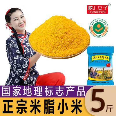 【陕北正宗米脂小米】5斤优质正宗陕北黄小米小米粥小黄米