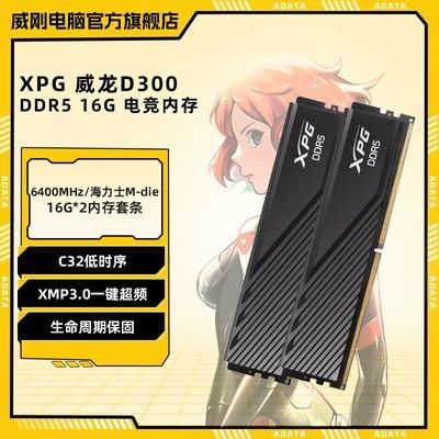 ڲD300 DDR5ڴ 6400ʿM-dięʽ׵羺ڴ769Ԫ