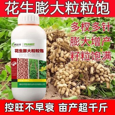花生膨大粒粒饱新款花生分杈下针剂花生控秧籽粒饱花生高产粒粒饱