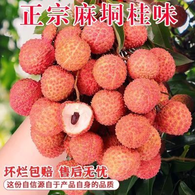 【超值10斤装】广西桂味荔枝新鲜现摘勒荔当季水果净重0.6-