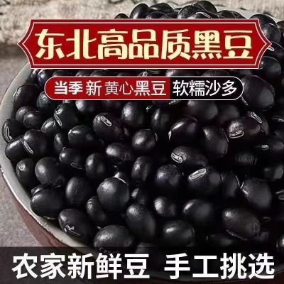 甄选正宗黑豆打豆浆醋泡黑豆东北黑豆五谷杂粮黑豆芽养生茶