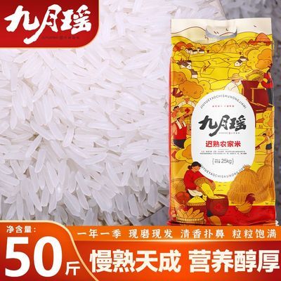 ���ڲ���������������ũ����50�����׳�������������è�������з�����ר���� 96.99Ԫ