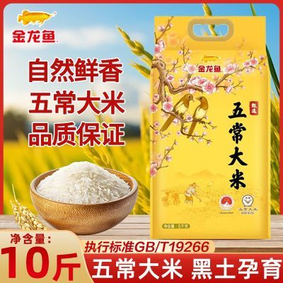 ڲѡ峣10ﶫ5kg׷ŴGB/T19266 43.8Ԫ