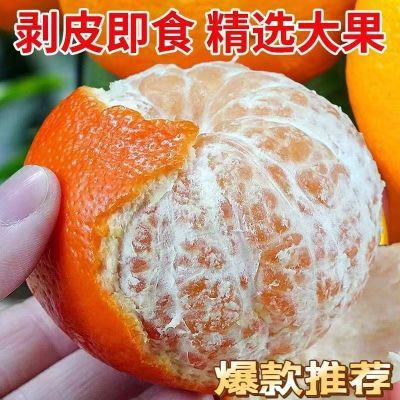 云南宾川粗皮沃柑净果9斤爆甜花斑中大果柑橘薄皮多汁抢先购