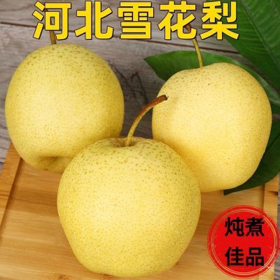 正宗河北雪梨5斤仅需10.9下单12.9五星带图?苹奖2果肉洁白，清肺润喉https://p.pinduoduo.com/QIVMX0px