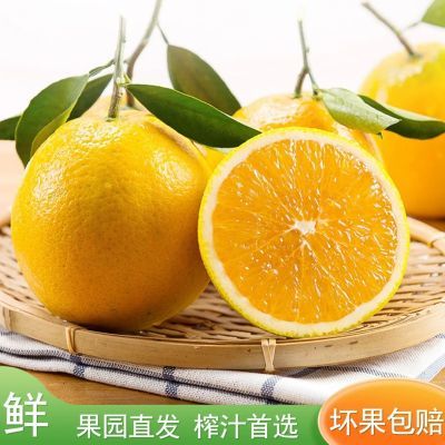 【惊爆特价】正宗秭归夏橙酸爽口感摆摊榨汁必选款维C满满包邮