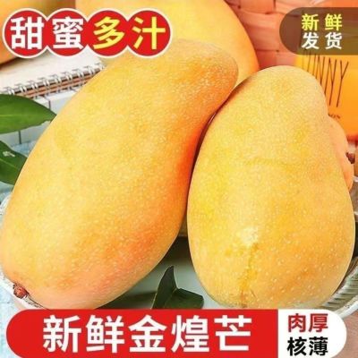 超低价正宗金煌芒芒果水大芒果仙新鲜水果当季应季青黄皮整箱批发