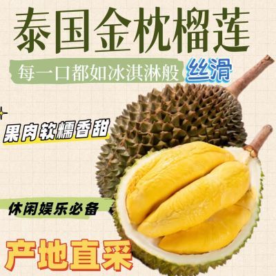 【榴莲熟了】泰国金枕 榴莲新鲜应季带壳巴掌榴莲整果批发包邮