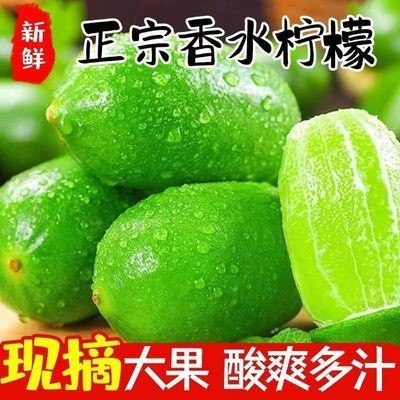海南正宗香水柠檬无籽青柠檬新鲜水果青柠檬香水柠檬奶茶店饮料