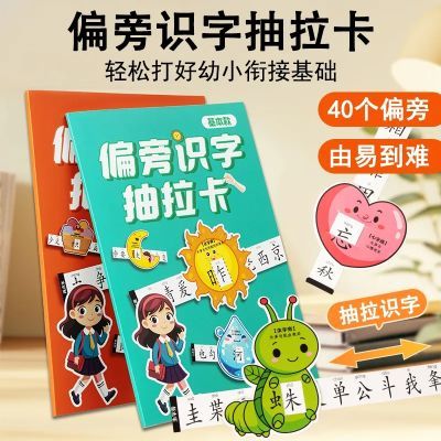偏旁识字抽拉卡儿童幼儿园早教象形趣味400+启蒙识字卡片组合玩具