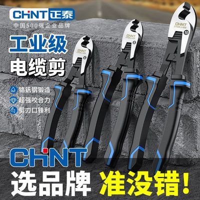 ڲ̩¼ǯ߲ǯӰߵ繤רüǯǯ11.8Ԫ