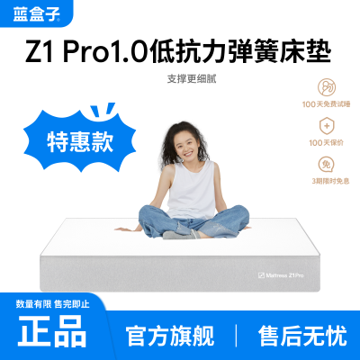 Z1 Pro1.0Ϳ޵ɴ˫˼ǼƵٷ1999Ԫ