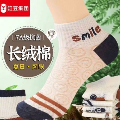 ڲ춹೤ŮʿļӶͲ͸ʪź˶19.4Ԫ
