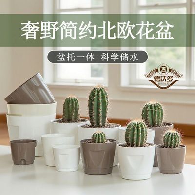 ڲֶͷ羫Ʒŷл˼Լغ̨7.79Ԫ