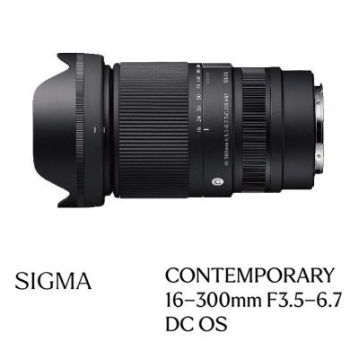 []16-300mmF3.5-6.7 DC OS뻭佹΢ͷ4198Ԫ