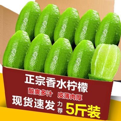 正宗海南无籽香水青柠檬新鲜奶茶店专用新鲜柠檬香水柠檬鲜果