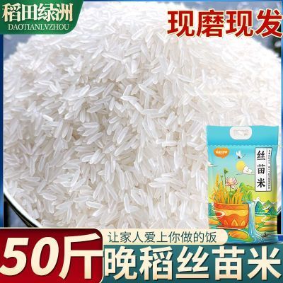 ڲ50˿糤˿׵зϸ׼ͥ104.9Ԫ