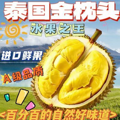 【带壳鲜果】泰国带壳金枕榴莲新鲜应季水果整颗热带鲜果批发包邮