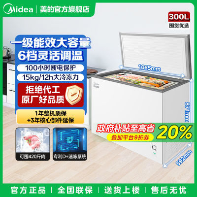 ڲ300Lʽ䶳һ903Ԫ