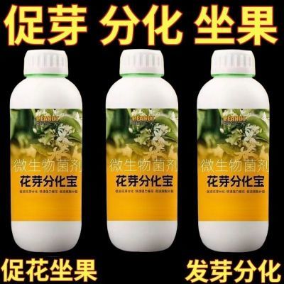 花芽分化宝瓜果树促进花芽分化增产增收保花保果延长花期新型肥料