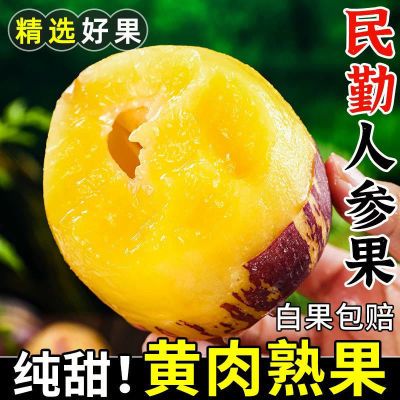 ڲ˳䡿ɳĮ˲ιӦˮ3/5Ĵװ25.9Ԫ