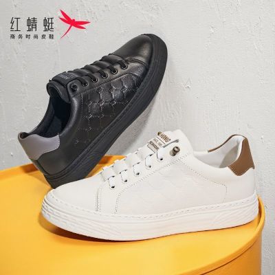 ڲѰЬʿ2025＾¿СЬ͸ٴЬЬWTA3517071շ꡿259Ԫ