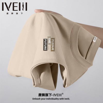 ڲʨIVEIII޶䱳пļ2025¿˶͸T29.9Ԫ