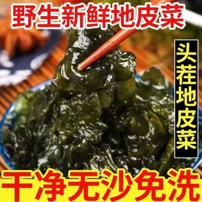 新鲜纯天然地皮菜拍一包发2包到手1.8附5.8，晒圖饭3，荭包抵1十倍泡发率~一包泡一盆https://p.pinduoduo.com/WAmMTqoD