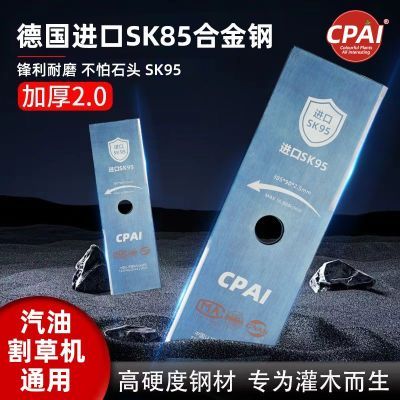 ڲݻһֵƬCPAIƷSK95ڼӺϽ̸ֵƬݻ 14.06Ԫ